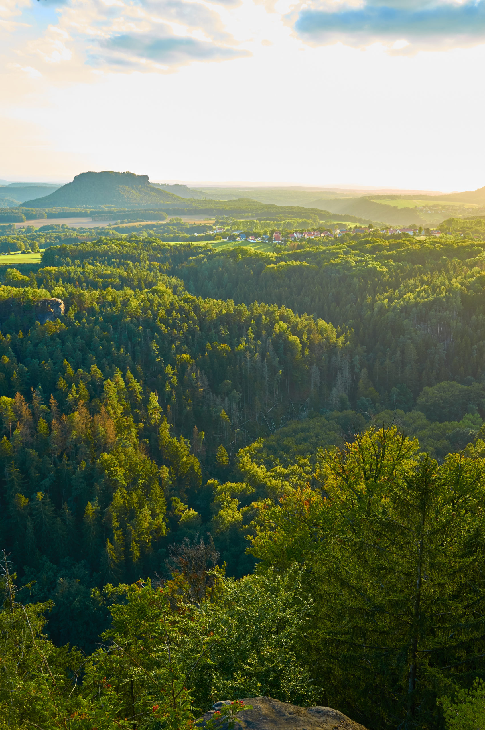 Blick auf den Lilienstein