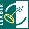 Leader Logo