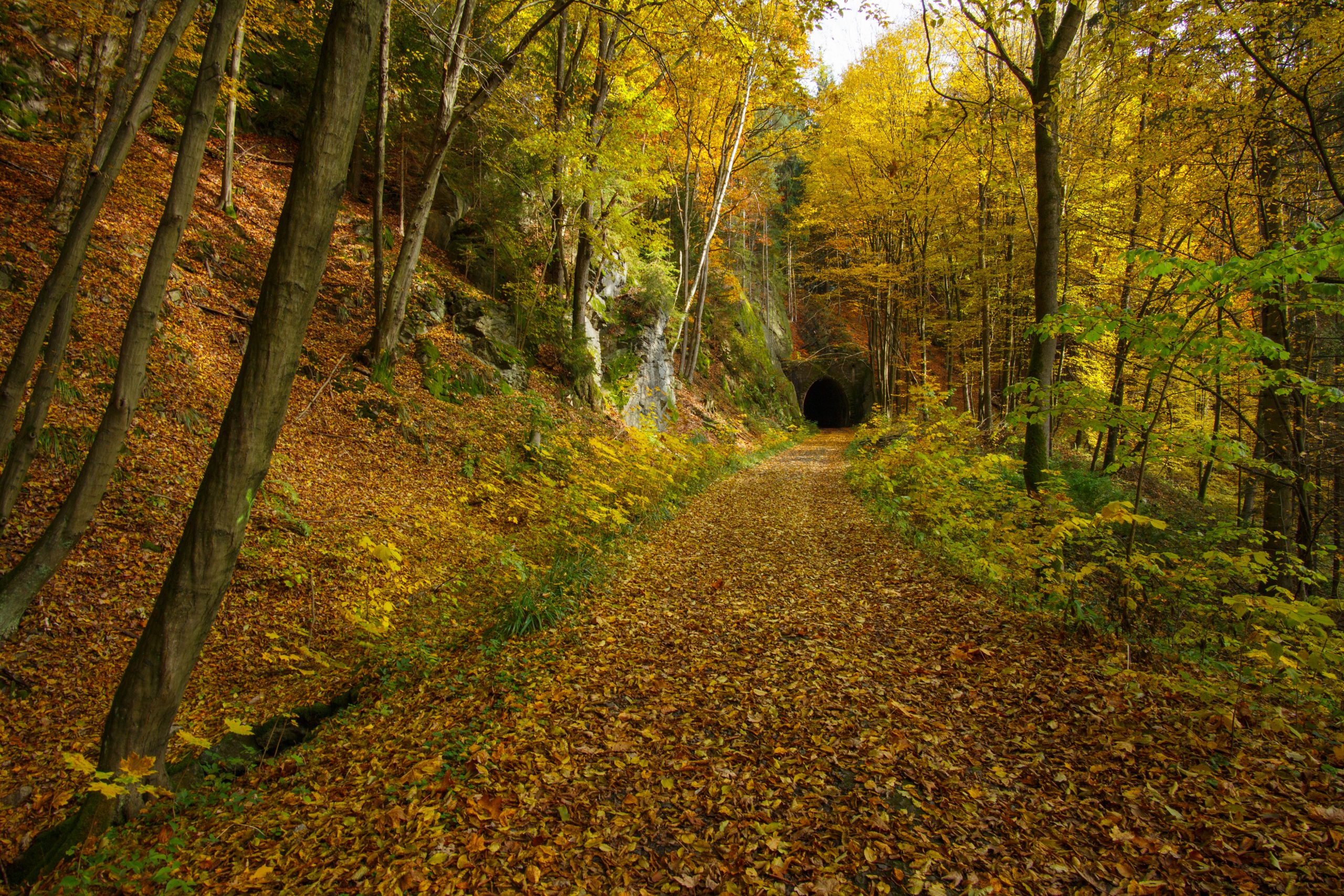 Schwarzbachtal